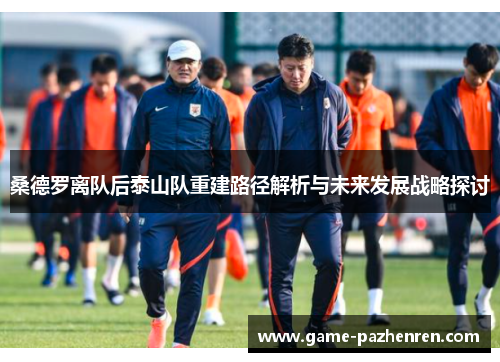 桑德罗离队后泰山队重建路径解析与未来发展战略探讨