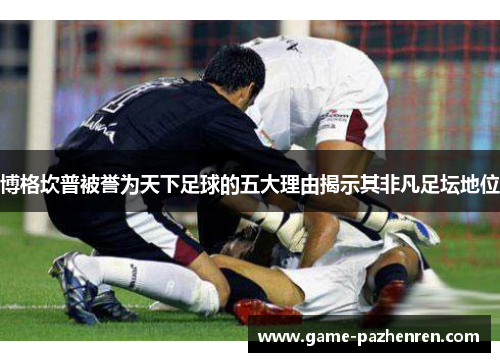 博格坎普被誉为天下足球的五大理由揭示其非凡足坛地位