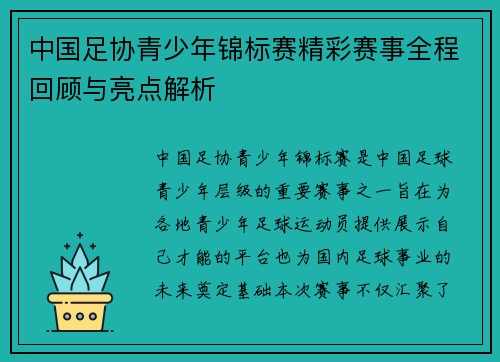 中国足协青少年锦标赛精彩赛事全程回顾与亮点解析